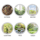 Window Bird Feeder House Shape, Transparent, Suction Cup Outdoor Birdfeeders