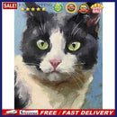 Oil Paint Cat By Numbers Coloring Picture Digital Drawing
