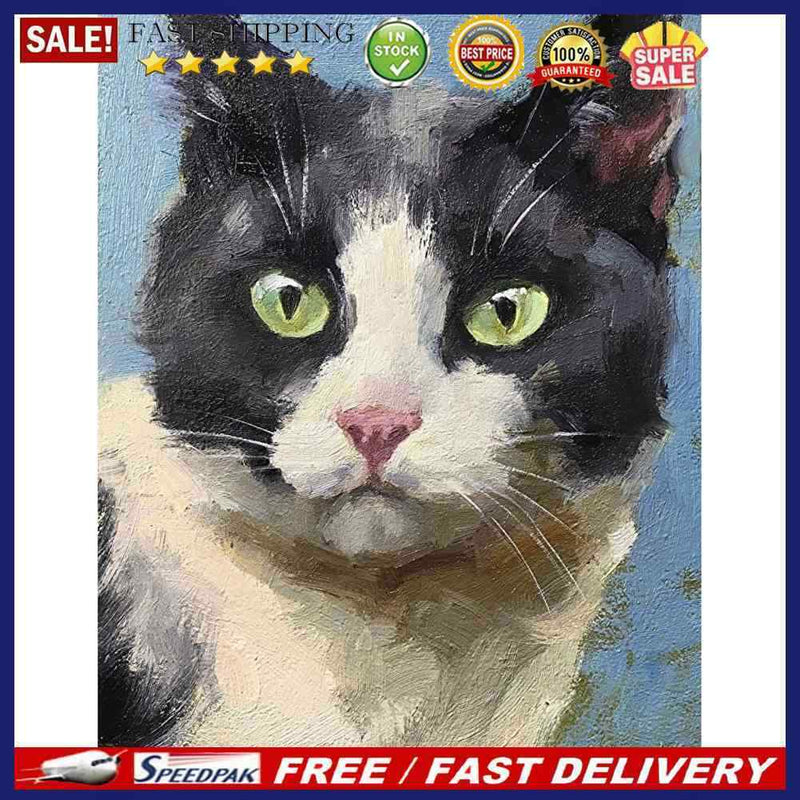 Oil Paint Cat By Numbers Coloring Picture Digital Drawing