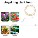 Angel Ring Plant Light Sunlight Phytolamp USB Nursery Lamp (One for One)