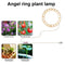 Angel Ring Plant Light Sunlight Phytolamp USB Nursery Lamp (One for One)