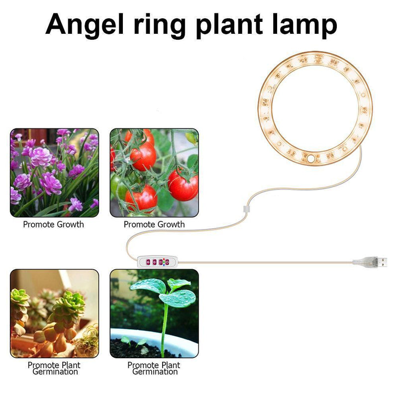 Angel Ring Plant Light Sunlight Phytolamp USB Nursery Lamp (One for One)
