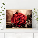 5D DIY Diamond Painting Red Rose Full Round Drill Mosaic Art Picture Rhinestone