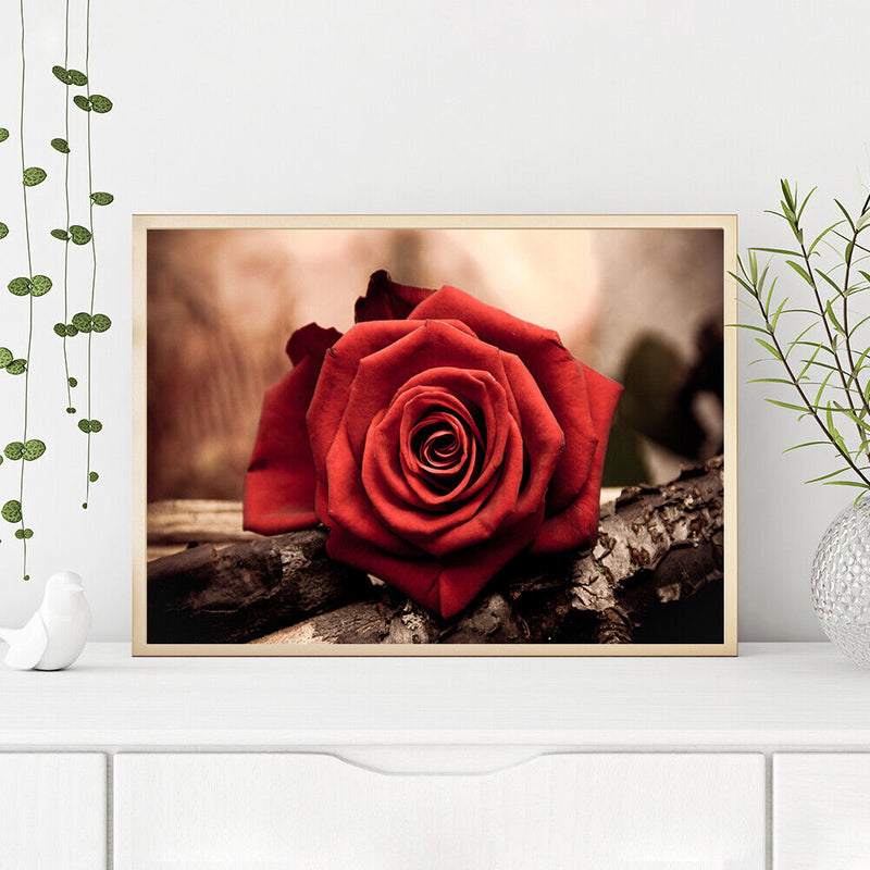 5D DIY Diamond Painting Red Rose Full Round Drill Mosaic Art Picture Rhinestone