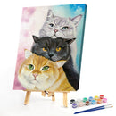 Three Cats Oil Paint By Numbers Kit DIY Acrylic Painting on Canvas Frameles