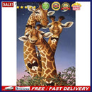 Mr Giraffes Oil Paint By Numbers Kits DIY Canvas Wall Art Picture Home Crafts