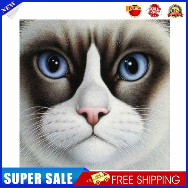 #A 5D DIY Diamond Painting Kits Full Round Drill Kitten Mosaic Wall Decoration