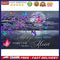 Butterfly Words Oil Paint By Numbers Kits Canvas Picture Wall Art DIY Craft G