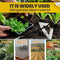 Hollow Hand Hoe - Sharp Gardening Gift for Backyard Weeding Loosing Planting