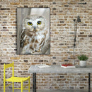 5D DIY Diamond Painting Full Drill Mosaic Kits Owl Cross Stitch Embroidery De