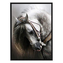 Cross Stitch Kits 11CT Stamped DIY Horse Full Embroider Needlework