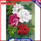 Painting By Numbers Flower Hand Painted Oil Drawing Wall Picture DIY Decor Kit