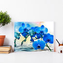 5D Diamond Painting Flower Full Round Drill DIY Wall Crafts Home Decoration K