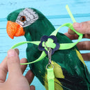 Parrot Leash Adjustable Harness Bird Anti Fly Outdoor Training Rope (Green)