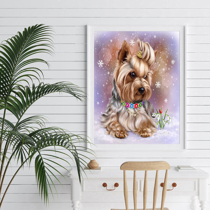 Oil Paint By Numbers Dog And Cat Coloring Picture Digital Drawing