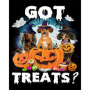 Halloween Pumpkin Dachshund Dog Oil Paint By Numbers Kit 40x50cm (B1601)