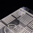 Aquarium Fish Tank Guppy Double Breeding Breeder Rearing C L6C0 Clear X6K0 A1G7
