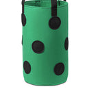 Felt Grow Bags Display Pockets DIY Hanging Strawberry Plant Bag (Green) Newly