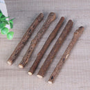 Pet Cat Molar Toothpaste Stick Cat Cleaning Teeth Cut Snacks Stick