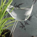 Small Bird Glass Watering Device For Household Balcony S1T5 2021 HOT! W7E4