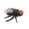 Fruit Fly Toys Prank Props Tricky Toys For Home G0A8