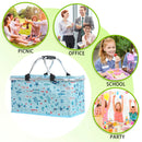 Insulated Cooler Bag, Picnic Basket for Travel, Camping, Keeps Wine Food Fresh