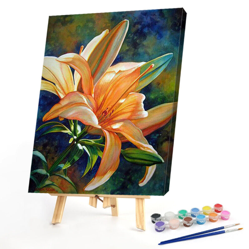 Special Flower 40x50cm Oil Paint By Numbers Picture DIY Painting M423