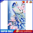 Blue Peacock Oil Paint By Numbers Kits DIY Handpainted on Canvas Wall Art