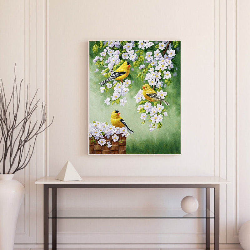 Bird on Branch Oil Paint By Numbers Kit DIY Acrylic Painting on Canvas Framel