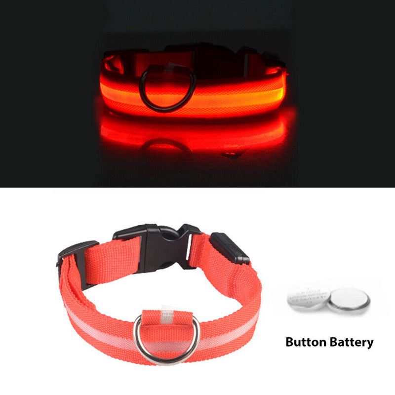 LED Dog Luminous Necklace Outdoor Walking Pet Night Safety Collar (Red L) Newly