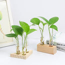 Home Decoration Test Tube Vase Test Tube Vase Hydroponic Plants Wooden Stand