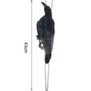 Realistic Hanging Dead Crow Decoy Lifesize Extra Large Feathered Black Cro best