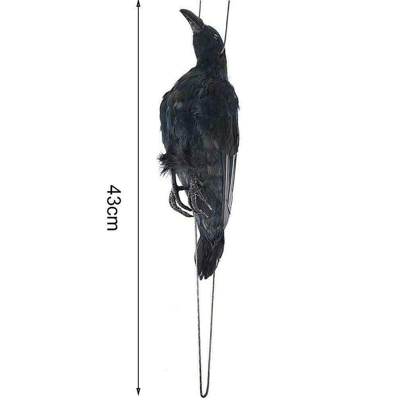 Realistic Hanging Dead Crow Decoy Lifesize Extra Large Feathered Black Cro best
