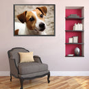 5D DIY Diamond Painting Kits Grey White Dog Full Round Drill Home Decoration Set