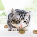 Healthy Cat Catnip Toys with Dust Cover Molar Teeth Kitten Cat Toys Pet Products