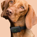 Electric Dog Training Collar Remote Shock Vibration Sound Stop Bark (Black)