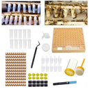 Box Cell Cage Rearing Cup Kit Beekeeping Tool Set Bees Tools Queen Rearing Kit