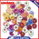 50pcs Colorful Flowers Printing Wooden Sewing Buttons DIY Knitting Clothes Decor