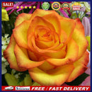 Wall Picture Poster Diamond Painting DIY Elegant Flower Cross Stitch Embroide