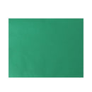 Photo Backgrounds Studio Photography Screen Backdrop Cloth(1.6 x 2m)
