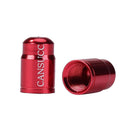 10pcs Aluminum Bicycle Tire Schrader Valve Stem Caps Dust Covers (Red)