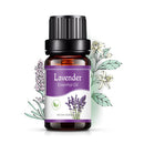 10ml Essential Oils Air Humidifier Aroma Diffuser Aromatherapy Water-soluble Oil