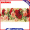Rose Oil Paint By Numbers DIY Handpainted on Canvas Wall Art Picture Unframed