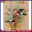 Oil Paint By Numbers DIY Bird and Flower Digital Painting Wall Art Handicra