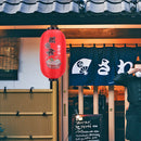 25cm Painting Lantern Japanese Style Fabric Hanging Restaurant Decor (D) Newly