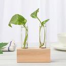 Home Decoration Test Tube Vase Test Tube Vase Hydroponic Plants Wooden Stand