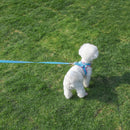 Adjustable Reflective Breathable Pet Harness with Lead Leash for Dog Cat Vest