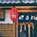 25cm Painting Lantern Japanese Style Fabric Hanging Restaurant Decor (E) Newly