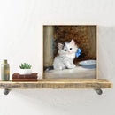 Hand Painted on Canvas DIY Cute White Cat Oil Paint By Numbers Drawing Kit Craft