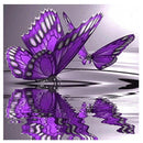 5D Butterfly Diamond Embroidery Painting Cross Stitch DIY Home Decor Newly